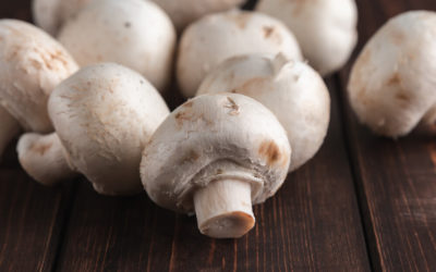 We’re mad for MUSHROOMS!