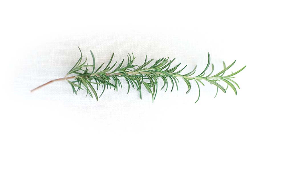 Rosemary